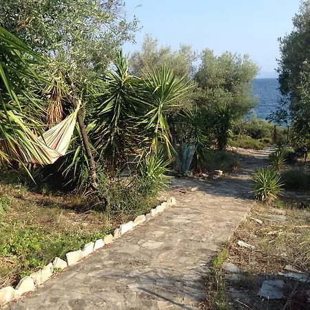 Georgia's House بيت للعطل *